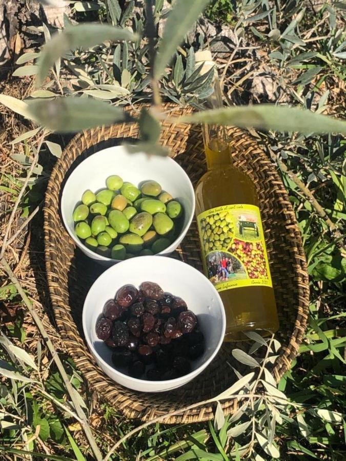 普罗旺斯地区艾克斯 La Parenthese Saint Donat酒店 外观 照片